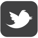 Twitter,Social media,Tweet,Follower,Connect,Social,Follow,Bird